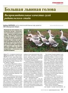 Гуси львиная голова описание