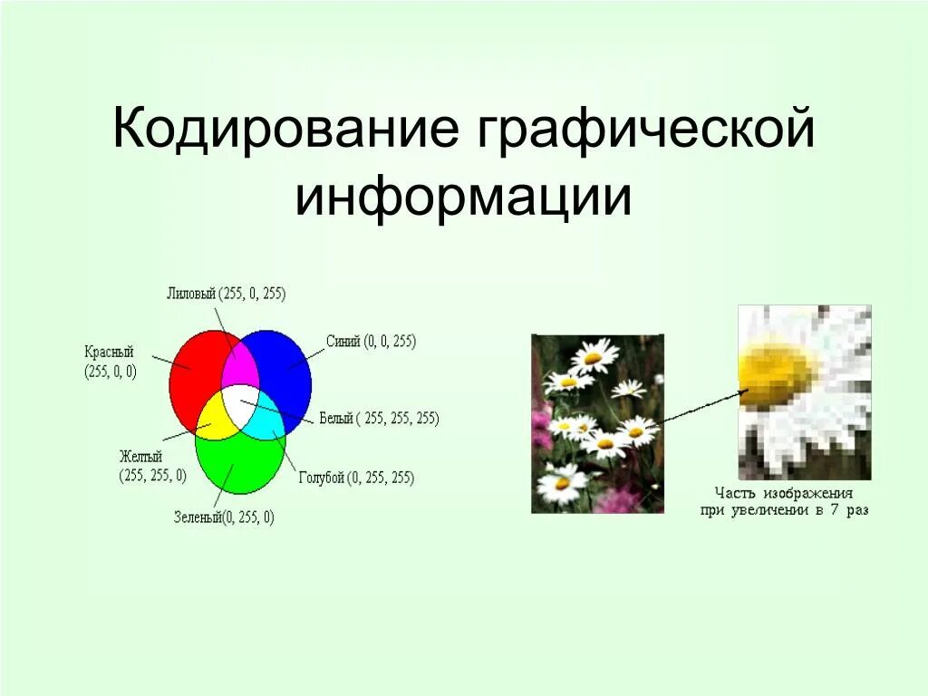 Графическая информация. Виды графической информации. Графическая информация примеры. Графическое кодирование информации примеры. Графическая информация может быть