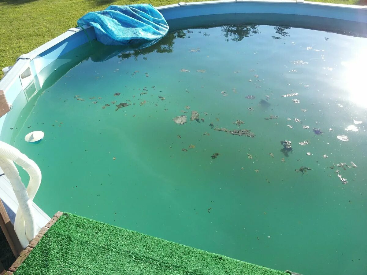 Бассейн пропускает воду. Зеленая вода в бассейне. Зеленый бассейн. Цветение воды в бассейне. Каркасный бассейн зеленая вода.