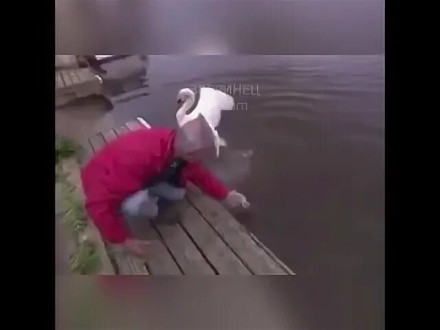 Видео мужик помогает. Мужик за машиной. Случайная встреча парня и девушки. Упал встал загасил. Мужчина помогает девушке.