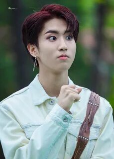 Han stray kids