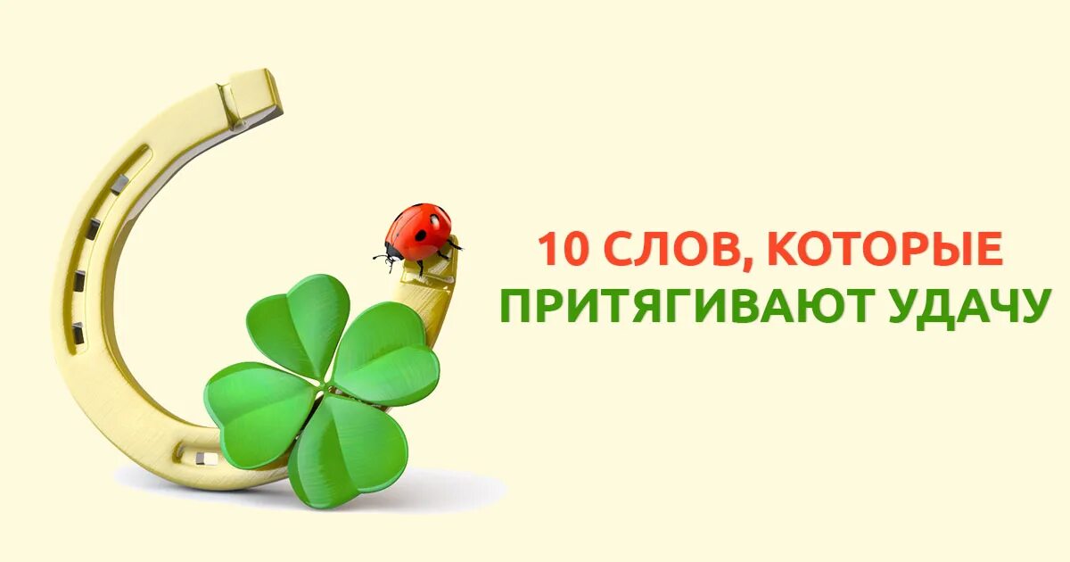 Программы удачи