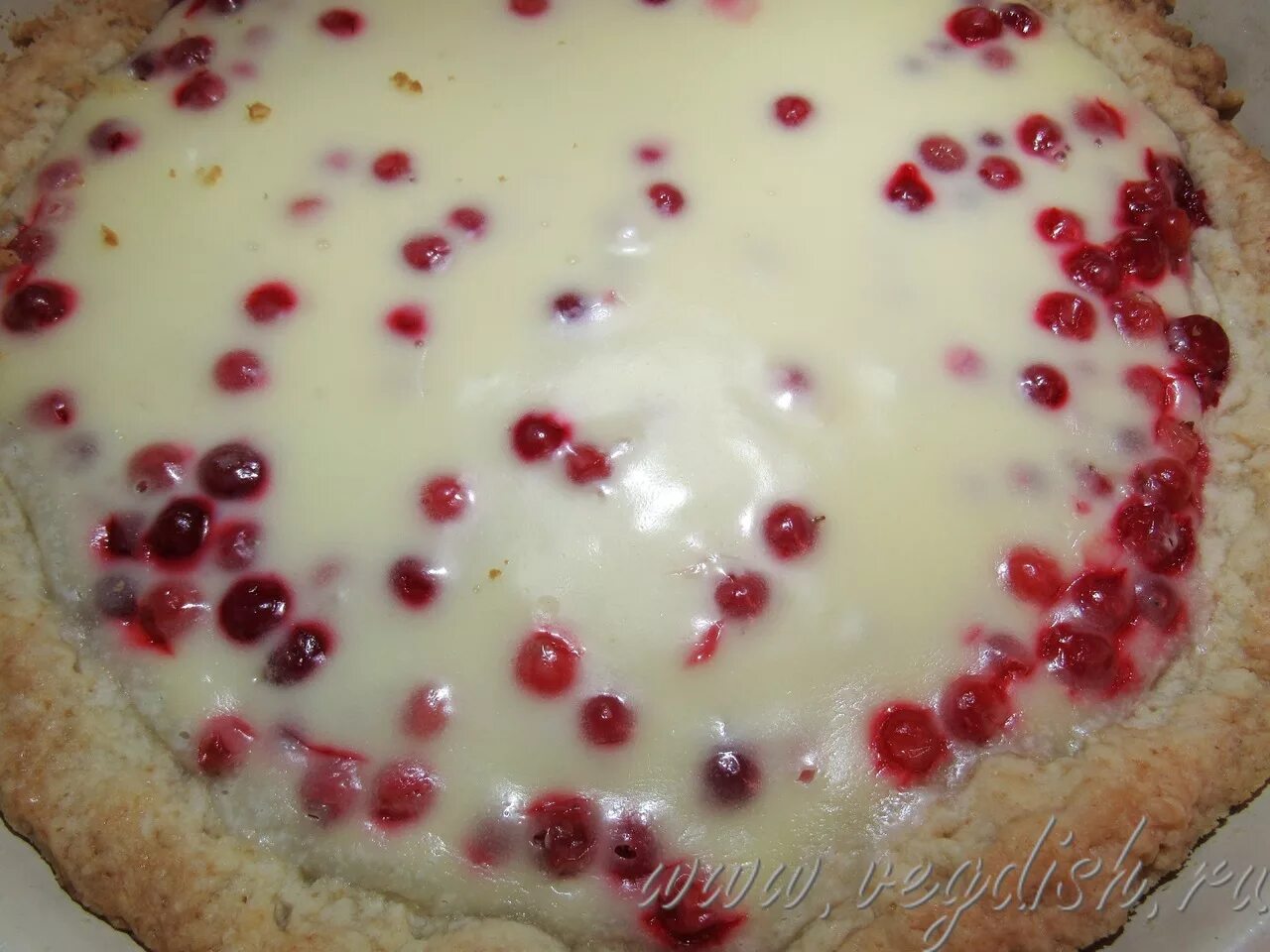 Пирог брусничный со сметаной. Заливной пирог с брусникой. Пирог брусничный со сметаной. Пирог с клюквой и брусникой. Пирог с брусникой и сметаной.