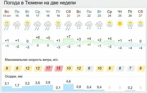 Погода в тюмени ноябрь 2024 на месяц