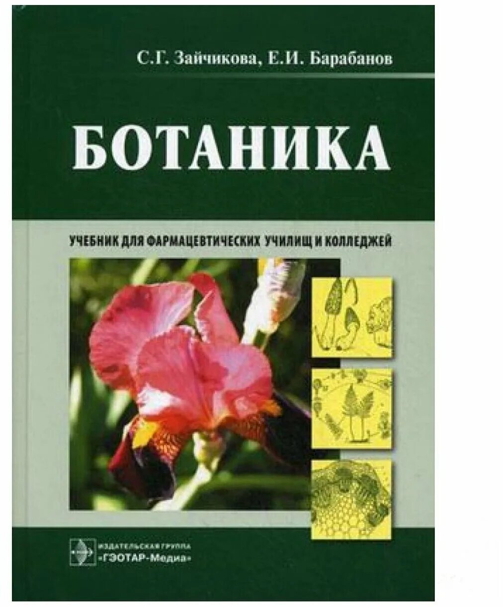 Ботаника авторы. Зайчикова барабанов ботаника. Ботаника книга. Учебник по ботанике. Ботаника для вузов.