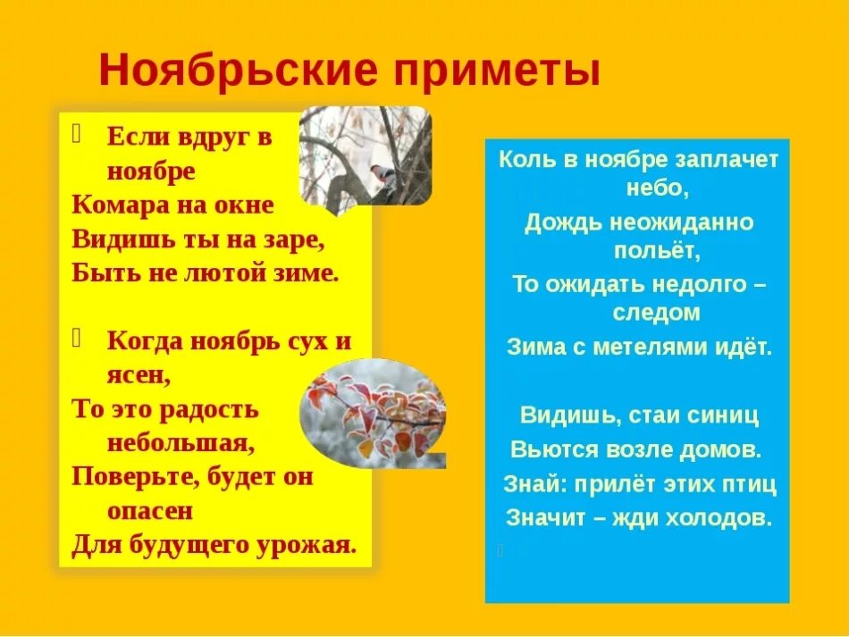 Ноябрь поговорка. Приметы ноября. Приметы ноября для детей. Народные приметы ноября. Пословицы про ноябрь для детей.