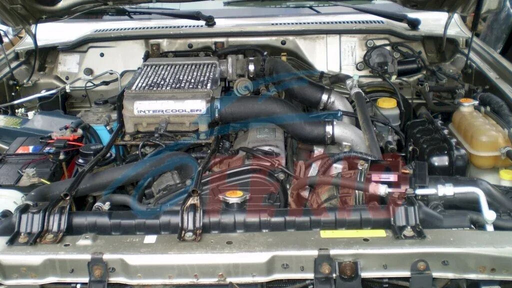 Nissan patrol y61 мотор. Двигатель ниссан патрол у61. Ниссан сафари 61 двигатель. Ниссан патрол y61 zd30. Ниссан патрол подкапотка.