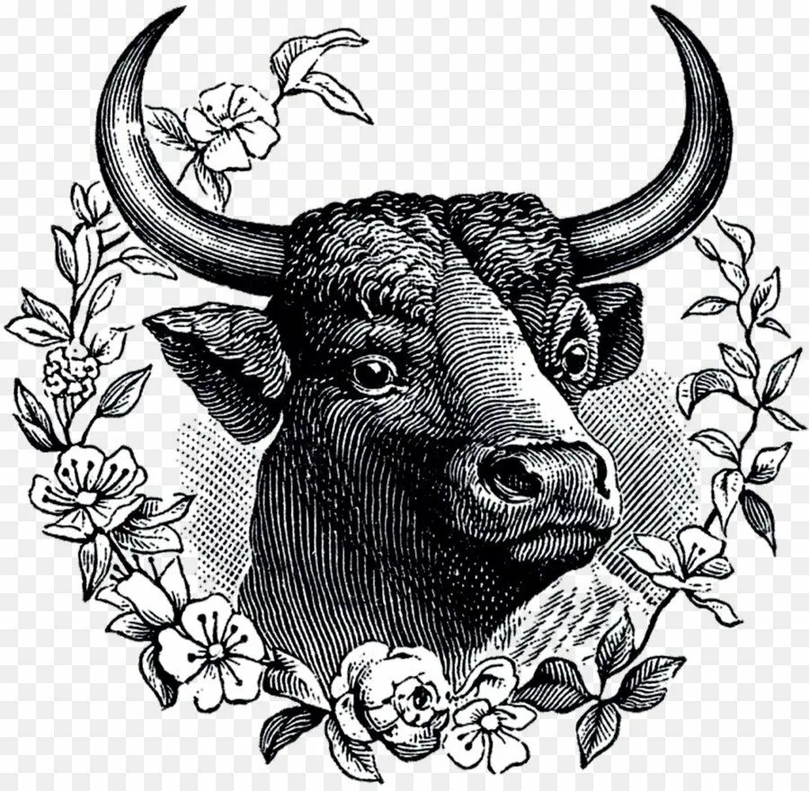 Бычок символ года. Бык черно белый. Сказочные символы года. Морда быка рисунок. Бык рисунок.