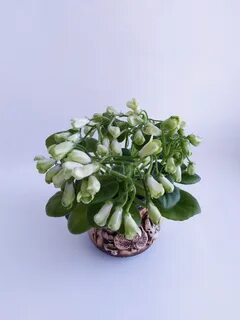 Emerald bell