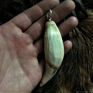 Клык что это значит