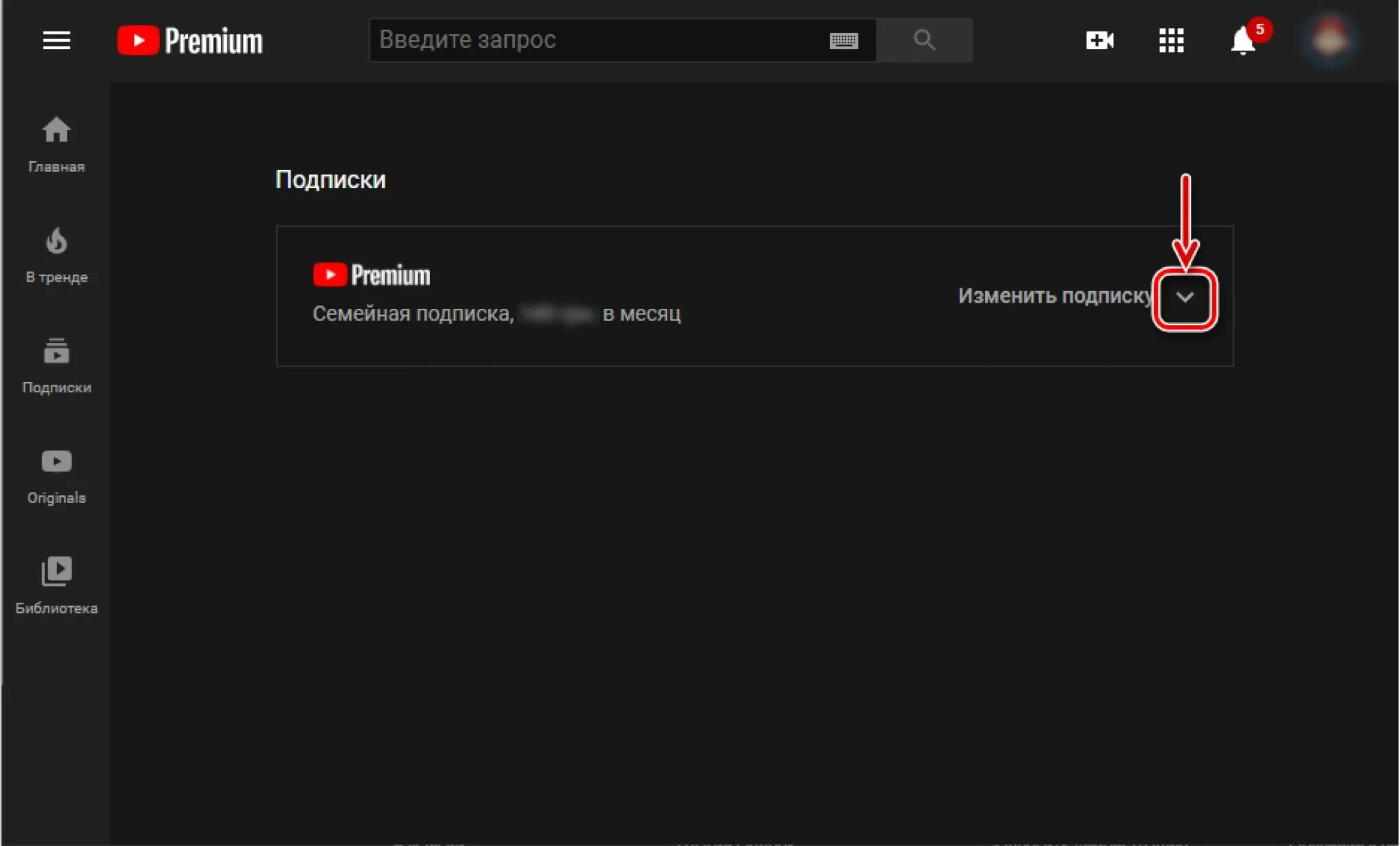 Подписка ютуб премиум. Ютуб премиум. Youtube premium отключили. Подписка youtube premium. Youtube premium отключили.