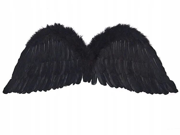 Черное крыло песня. Черные Крылья. Крылья ангела черные. Черные перьевые Крылья. Костюм с черными крыльями.