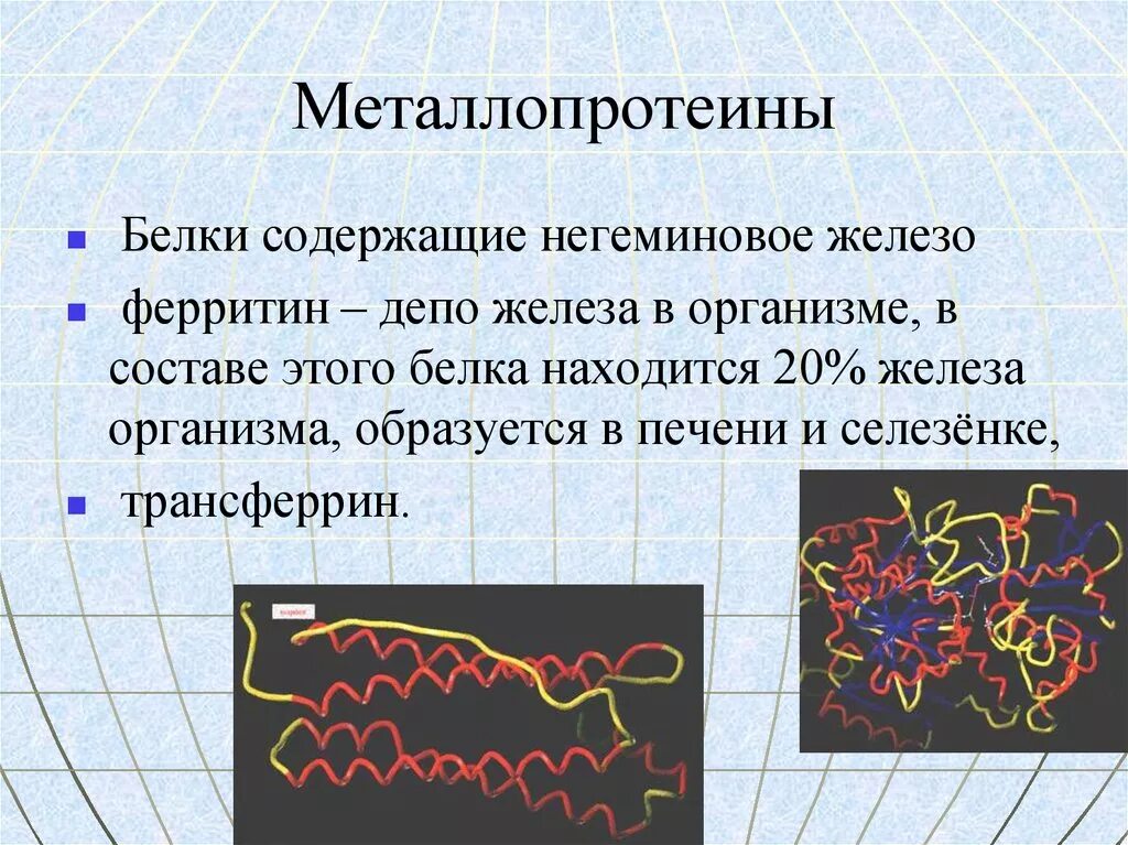 Металлопротеины. Негеминовое железо это. Металлопротеины строение. Негеминовое железо это биохимия.