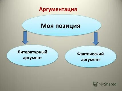 Литературная позиция