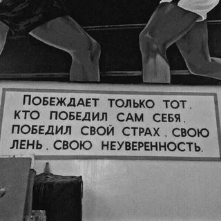 Чем править победит