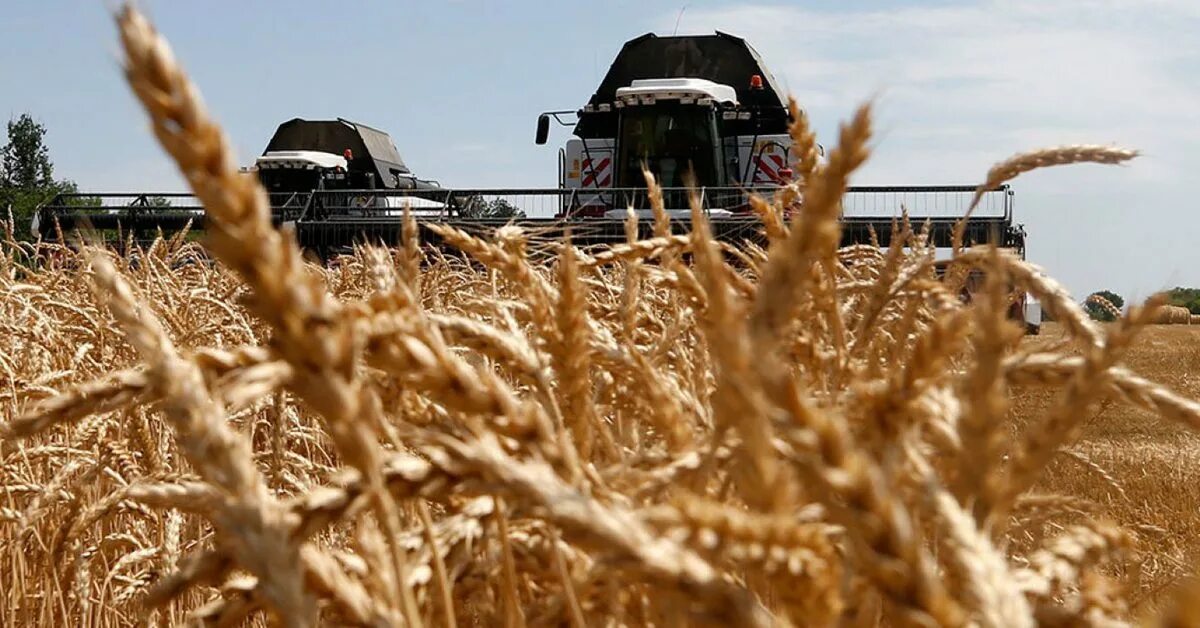 Импорт сельхозпродукции