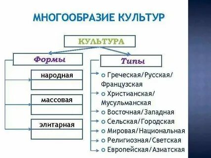 1 культура ее многообразие и формы