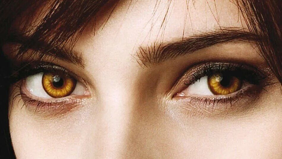 Бледно желтые глаза. Девушка с желтыми глазами. Янтарные глаза. Янтарные глаза у девушки. Жёлтые глаза у человека.
