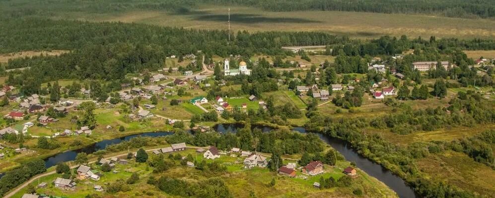 Камера в деревне ханево. Погода в заборье. Погода в бокситогорском бору. Погода в бокситогорском бору. П подборовье ленинградская область.