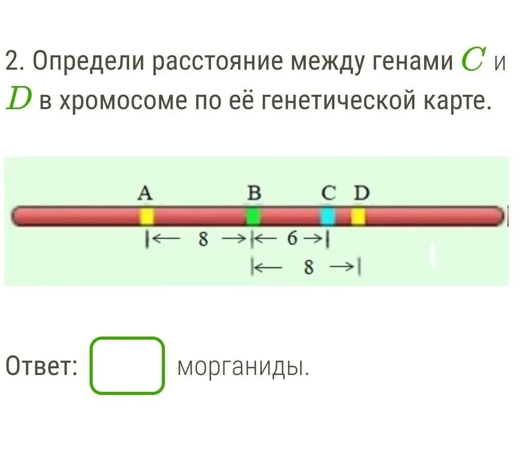 Расстояние между генами. Генетические карты хромосом. Как определить расстояние между генами в хромосоме. Определить расстояние между генами. 3 гена расстояние