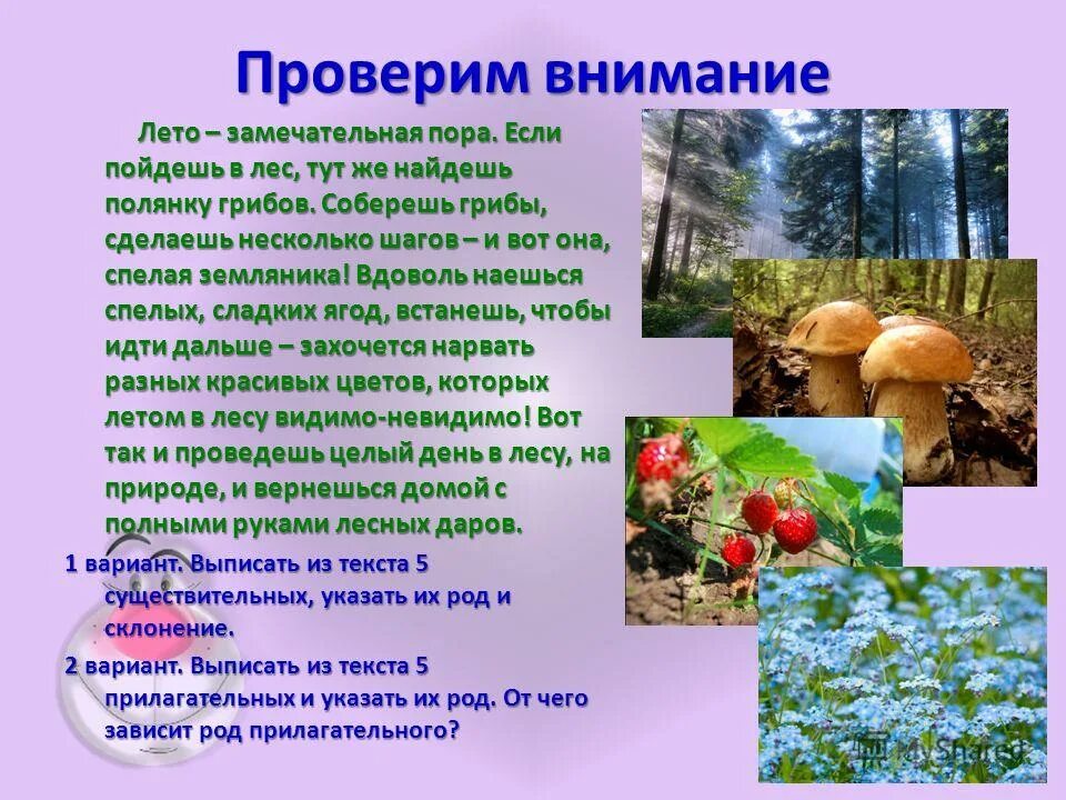 План как был в лесу летом. Рассказ летом в лесу. Сочинение на тему лето в лесу. Рассказ на тему летом в лесу. Летом в лесу сочинение 3 класс.