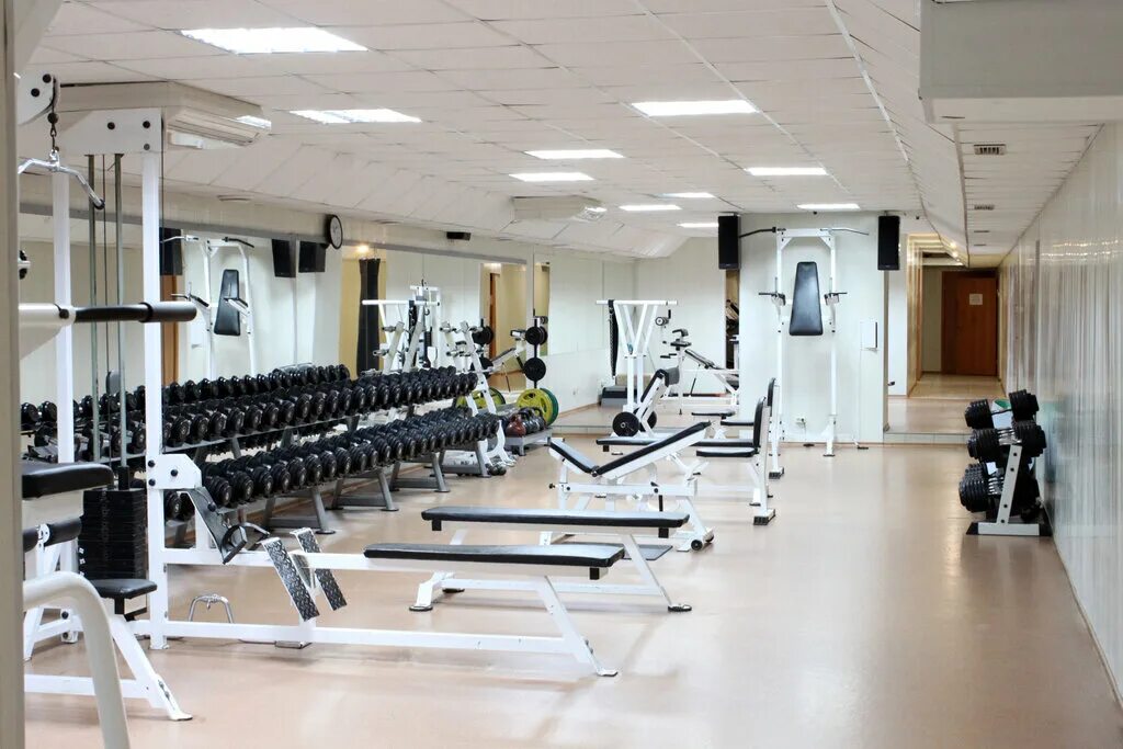 платинум волгоград. платинум волгоград. платинум фитнес волгоград ворошиловский район. платинум фитнес волгоград козловская. улица хользунова волгоград.