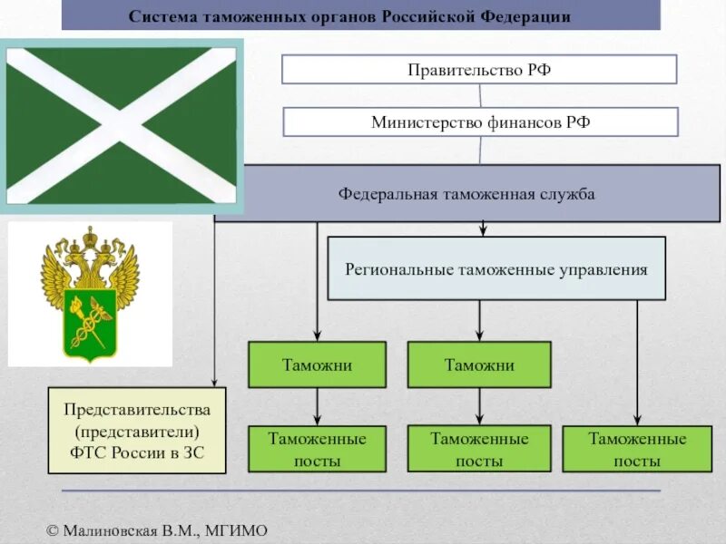 Фтс союз. Система таможенных органов рф схема. система таможенных органов рф фтс. система структура таможенных органов. структура таможни рф схема.