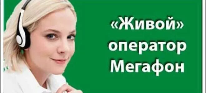 Данные оператора мегафон. Оператор МЕГАФОН. Номер оператора МЕГАФОН. Оператор МЕГАФОН оператор. Как позвонить оператору МЕГАФОН.