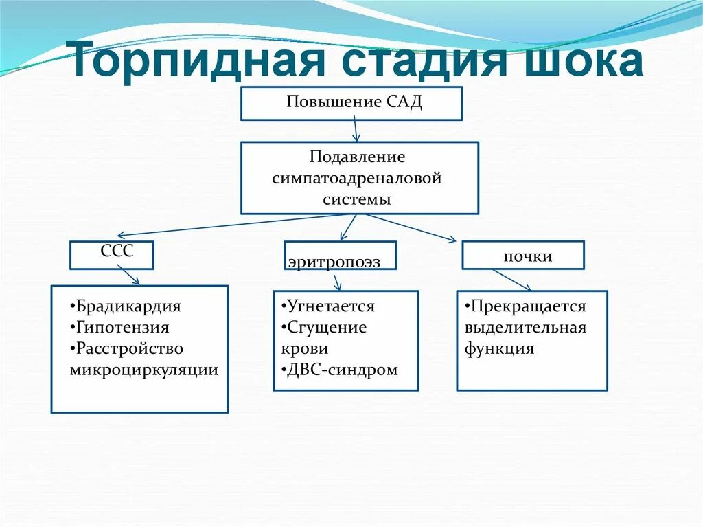 Эректильный шок. Торпидная фаза шока степени. Для торпидной фазы шока характерны. Торпидная стадия шока патофизиология. Симптомы торпидной фазы геморрагического шока.