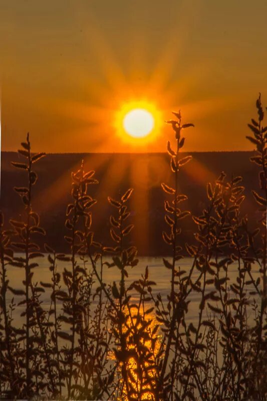 Заря рассвет восход 13 карт. Корабль в море. Восход закат 2024. Рассвет закат 2023. Солнце.