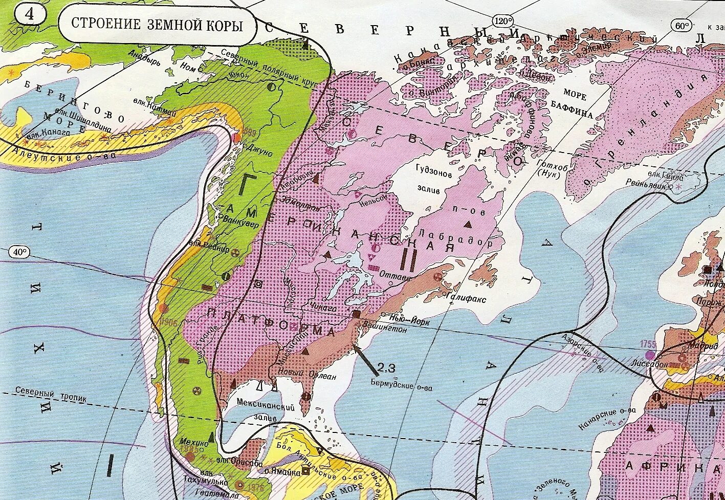 Крупная равнина расположена на древней платформе. Геологическая карта Северной Америки. Тектоника Северной Америки карта. Карта тектоники Северной Америки. Тектоника Северной Америки платформы.