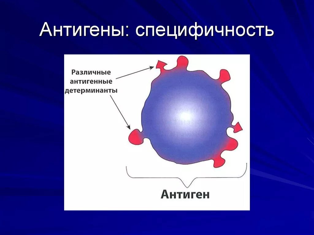 Антигены ивд