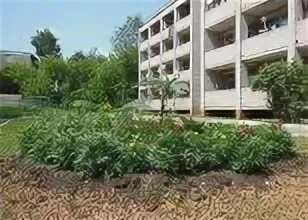 обсусо ивановский психоневрологический интернат. богородское дом инвалидов иваново. ул московская 50/1 иваново. дом интернат иваново. ивановский психоневрологический интернат.