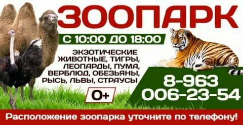 2 билета в зоопарк