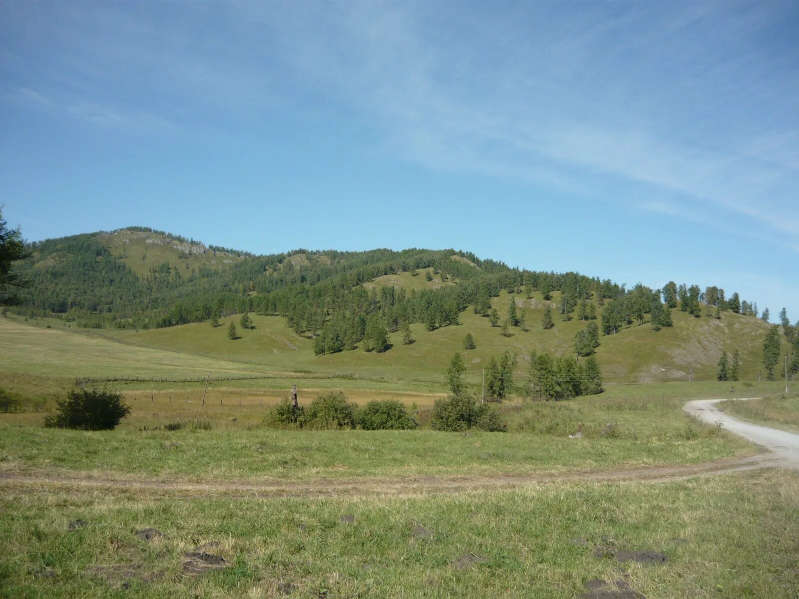 земельные участки на алтае. рублёвка горный алтай. бешпельтир. стелла шебалино. участки на алтае.