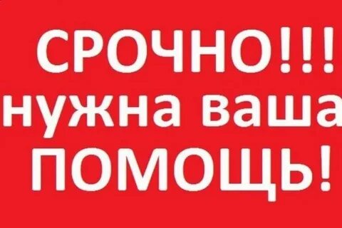 Срочно вынести