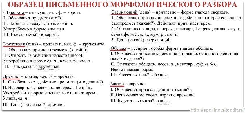 Как слова становятся членами. Морфологический разбор слова всех частей речи таблица. Морфологический разбор частей речи таблица с примерами. Морфологический разбор всех частей речи 7 класс. Морфологический разбор всех частей речи наречие.