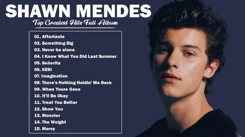 Shawn mendes back