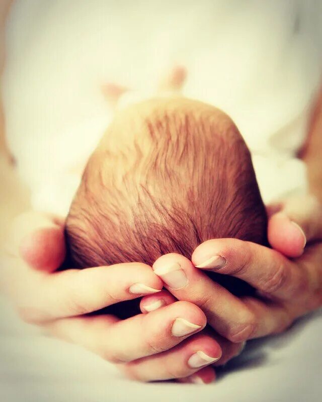 Родничок фото. Родничок у новорожденных. Младенец на спине. Малыш со спины.