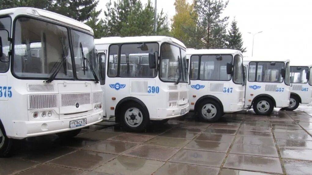 ПАЗ 32053 Омскоблавтотранс. Автобус ПАЗ Омскоблавтотранс. Омск обл Автотранс. Автобус Триумф.