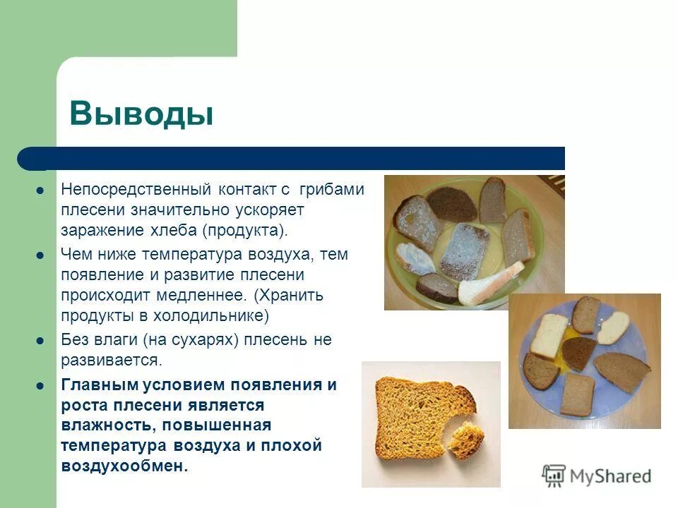 Меры защиты от плесени биология 5 класс. Как сохранить продукты от плесени. Полезные и вредные свойства плесени. Как сохранить продукты от плесени. Причины появления плесени.