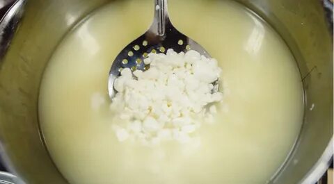 Сыр из молока с сывороткой