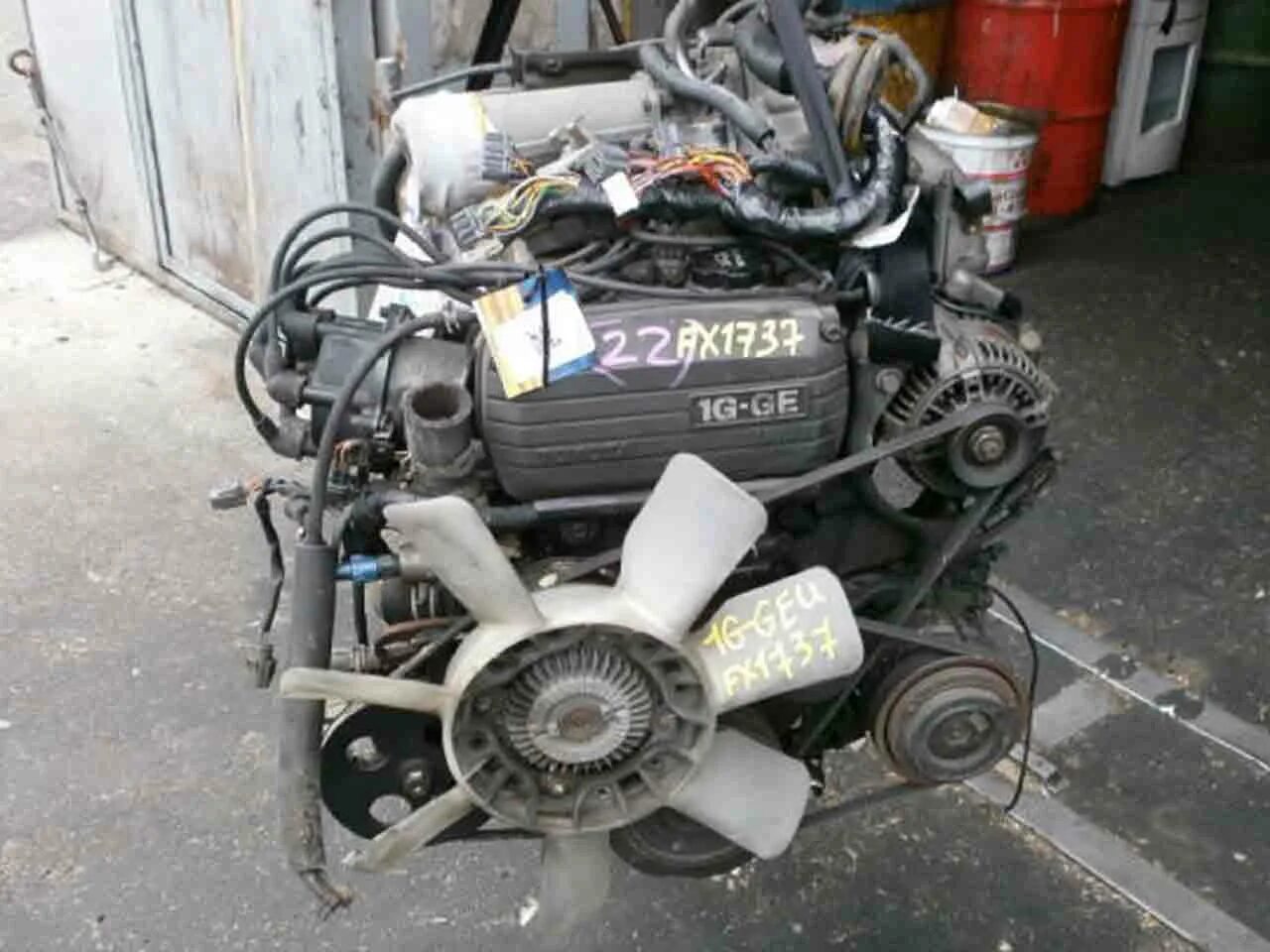 1 g ge