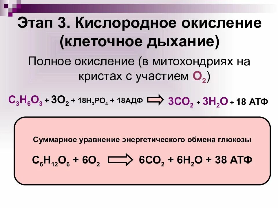 Клеточное дыхание реакция