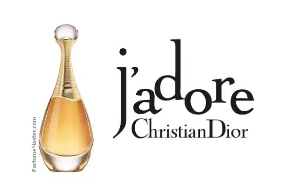 J adore перевод. Christian dior - j&#039;adore absolu (2018). j’adore от dior лого. jadore logo. надпись жадор на белом.