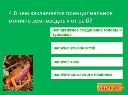Чем отличаются пресмыкающиеся от земноводных