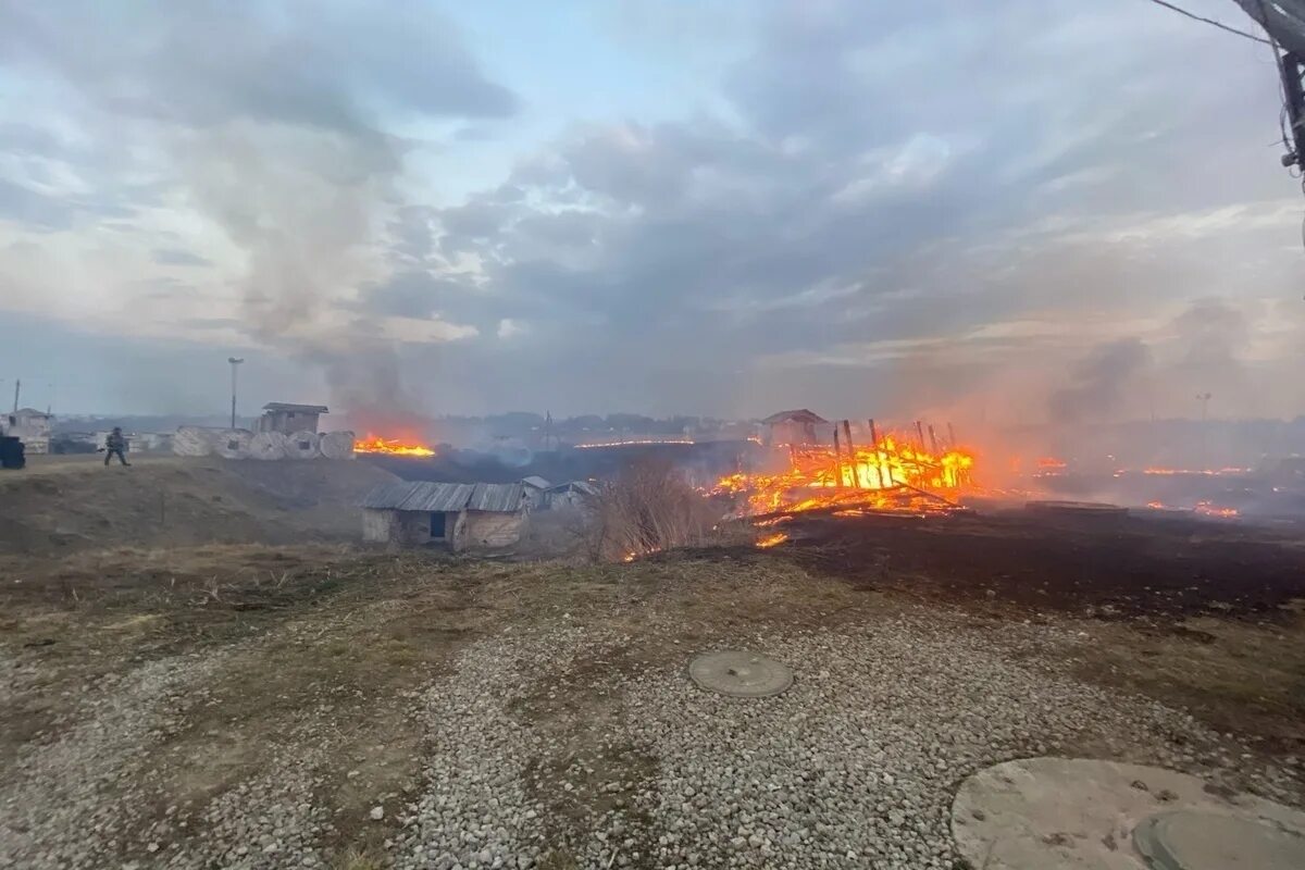 Хоррор тула. Пожар в Туле. Пожар в Тульской области. Сгоревшее поле. Пожар в Туле вчера.