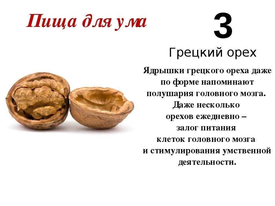 Что символизирует орех. Пища для ума. грецкий орех информация. интересные факты о рехах. орехи грецкие шутка.