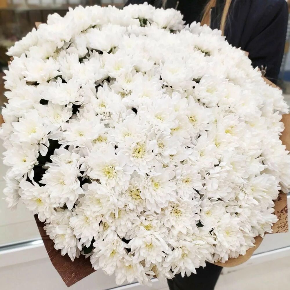 35 кустовых хризантем в букете. Хризантема балтика белая букет. 20 хризантем. Статица и хризантема букет. Букетище хризантем.