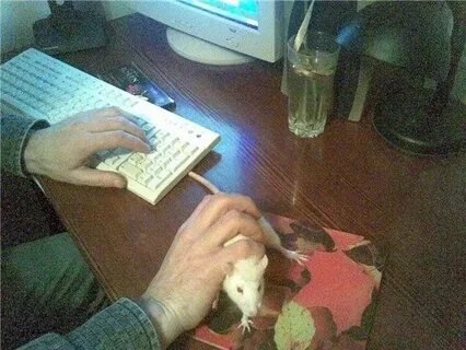 Мышка вместо